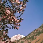 Casa Nossur 公寓 *