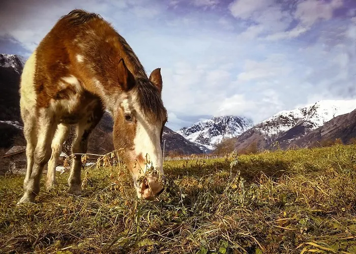 Casa Nossur La Salle