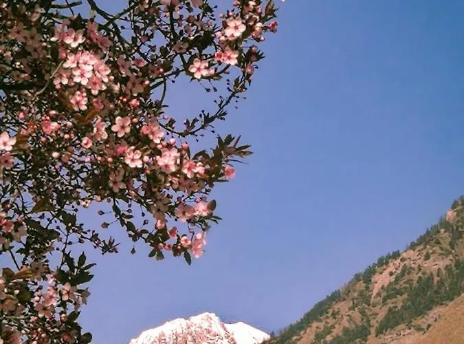 Casa Nossur Apartment *